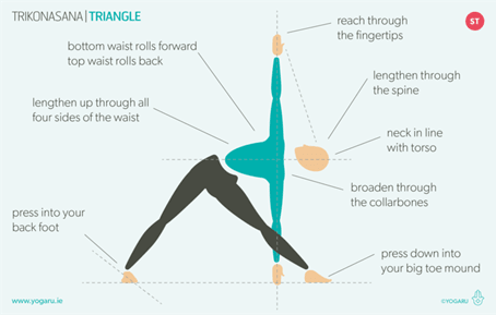 YogaToes® For Women, Triangle Healing Products